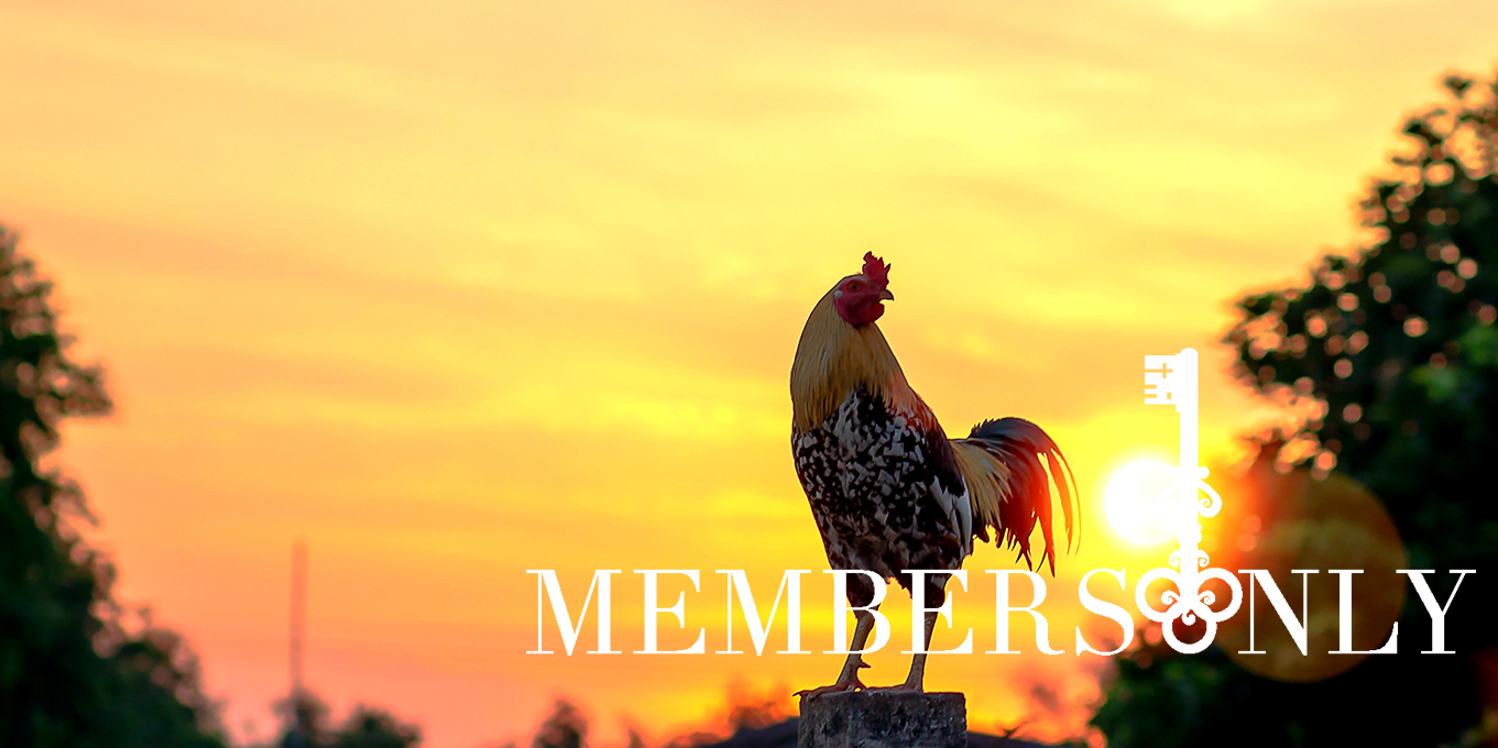 Key Insights and takeaways from the  